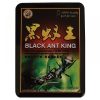 black ant king