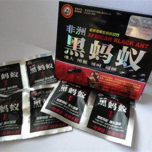 african black ant